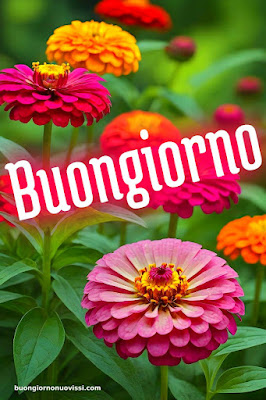 foto buongiorno foto buongiorno