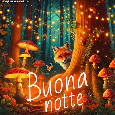 Immagini Bellissime Buonanotte Immagini Bellissime Buonanotte