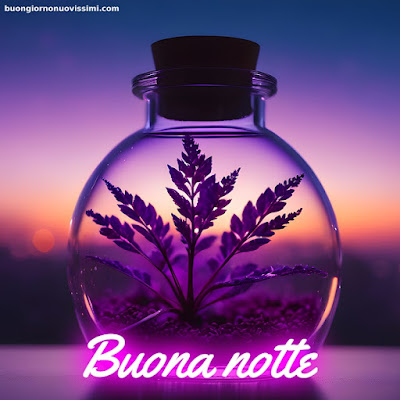 Immagini Bellissime Buonanotte Immagini Bellissime Buonanotte