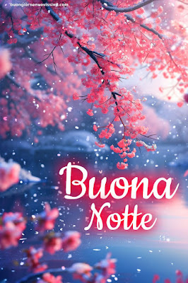 Immagini Bellissime Buonanotte Immagini Bellissime Buonanotte