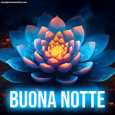 Immagini Bellissime Buonanotte Immagini Bellissime Buonanotte