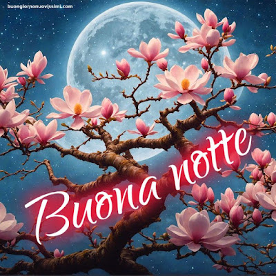 Immagini Bellissime Buonanotte Immagini Bellissime Buonanotte