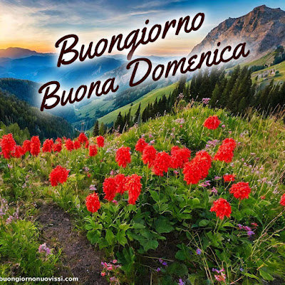 immagini buona domenica immagini buona domenica