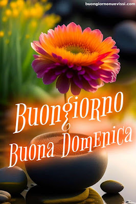 immagini buona domenica immagini buona domenica