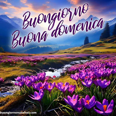 immagini buona domenica immagini buona domenica