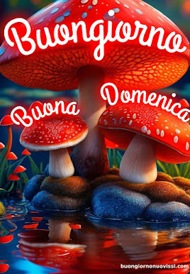 immagini buona domenica immagini buona domenica