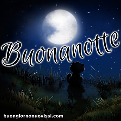 immagini buonanotte belle gratis per whatsapp web