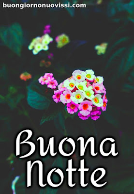 immagini buonanotte belle gratis per whatsapp web