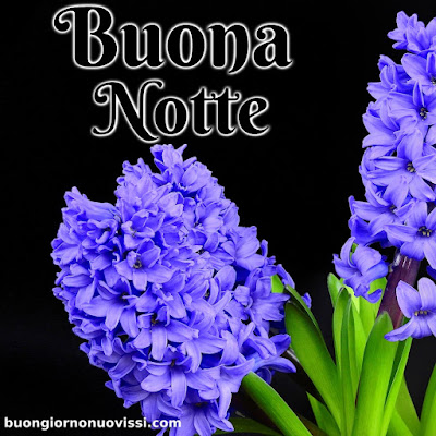 immagini buonanotte belle gratis per whatsapp web