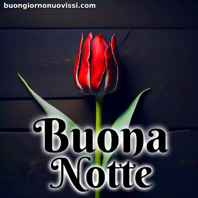 immagini buonanotte belle gratis per whatsapp web