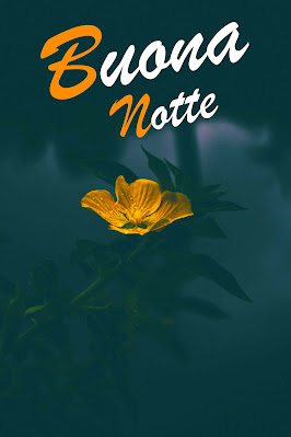 immagini buonanotte gratis