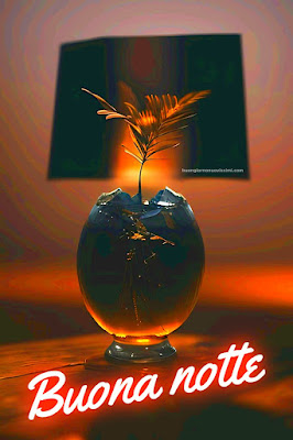 immagini buonanotte gratis