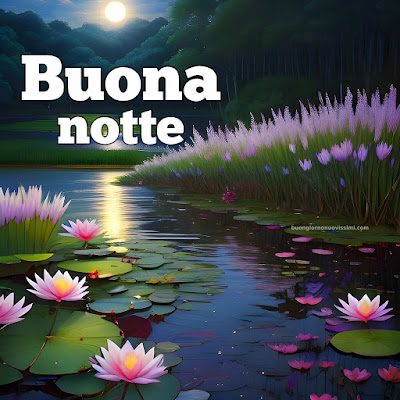 immagini buonanotte gratis