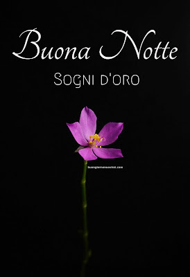 immagini buonanotte simpatiche