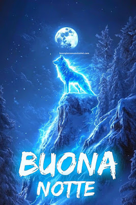 immagini buonanotte simpatiche