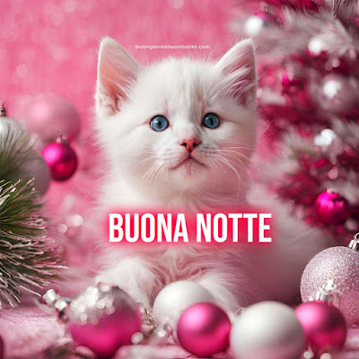 immagini buonanotte simpatiche