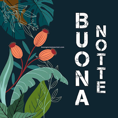 immagini buonanotte simpatiche