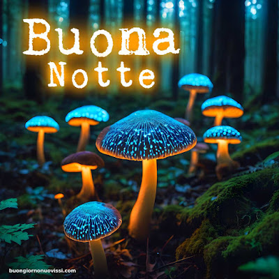 immagini buonanotte immagini buonanotte