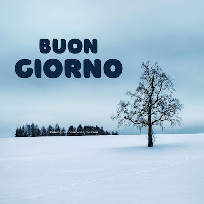 Immagini Buongiorno Invernale Gratis Per Whatsapp Immagini Buongiorno Invernale Gratis Per Whatsapp