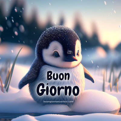 Immagini Buongiorno Invernale Gratis Per Whatsapp Immagini Buongiorno Invernale Gratis Per Whatsapp