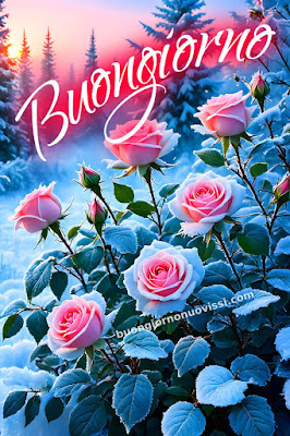 Immagini Buongiorno Invernale Gratis Per Whatsapp Immagini Buongiorno Invernale Gratis Per Whatsapp