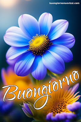 immagini buongiorno nuove