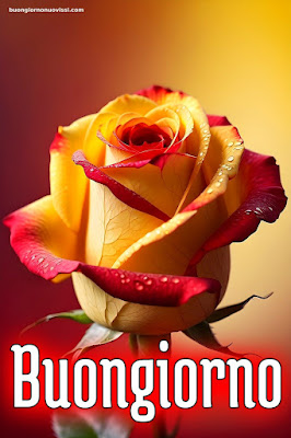 immagini buongiorno nuove