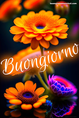 immagini buongiorno nuove