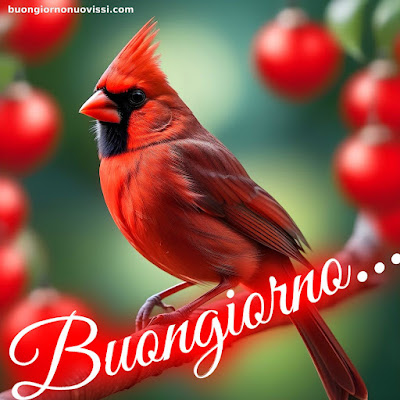 immagini buongiorno nuove