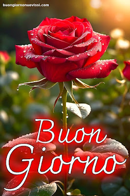 immagini buongiorno