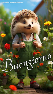 immagini buongiorno