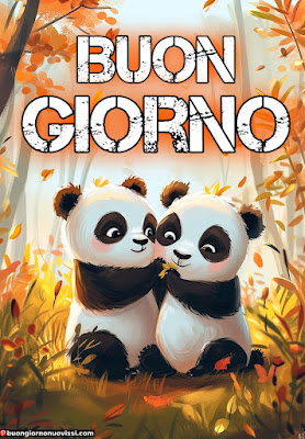 immagini buongiorno