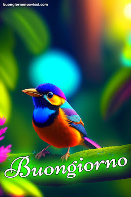 immagini buongiorno