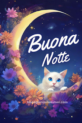 Immagini Della Buona Notte Invernale Immagini Della Buona Notte Invernale