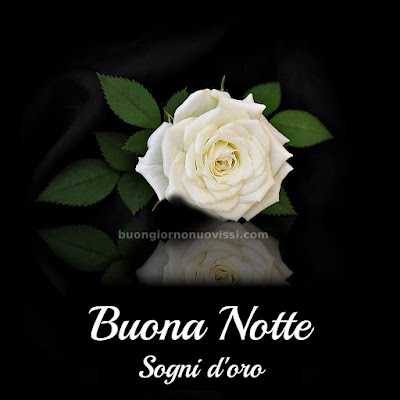 Immagini Della Buona Notte Invernale Immagini Della Buona Notte Invernale