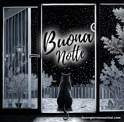 immagini della buonanotte