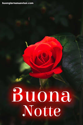 immagini della buonanotte