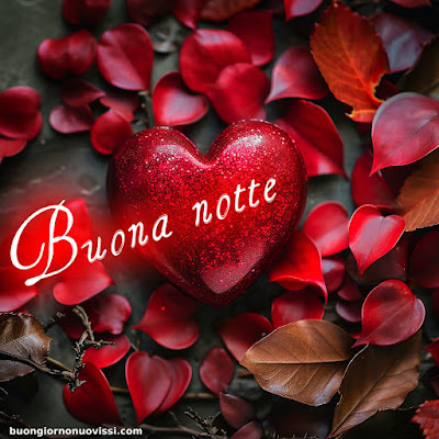 immagini della buonanotte