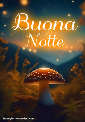 immagini della buonanotte