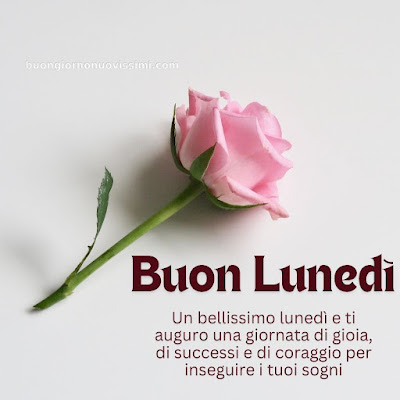 immagini di buon lunedi immagini di buon lunedi