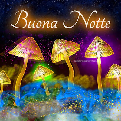 immagini di buona notte