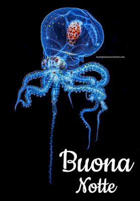 immagini di buona notte