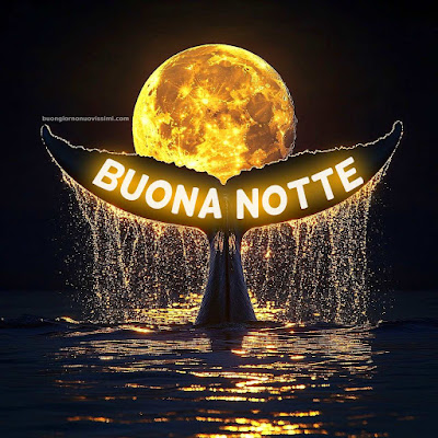 immagini di buona notte
