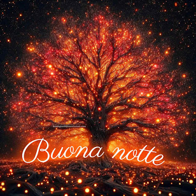 immagini di buonanotte per whatsapp