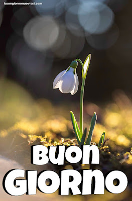 immagini di buongiorno immagini di buongiorno