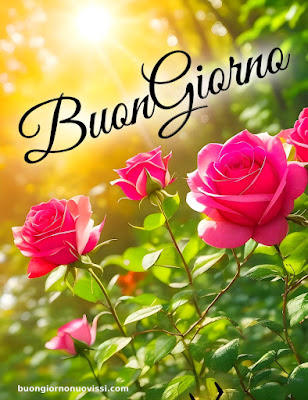 immagini di buongiorno immagini di buongiorno