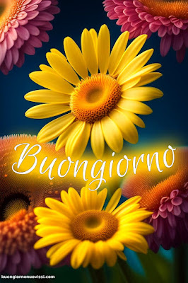 immagini di buongiorno immagini di buongiorno