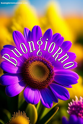 immagini di buongiorno immagini di buongiorno