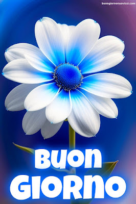 immagini di buongiorno immagini di buongiorno