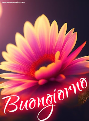 immagini di buongiorno immagini di buongiorno